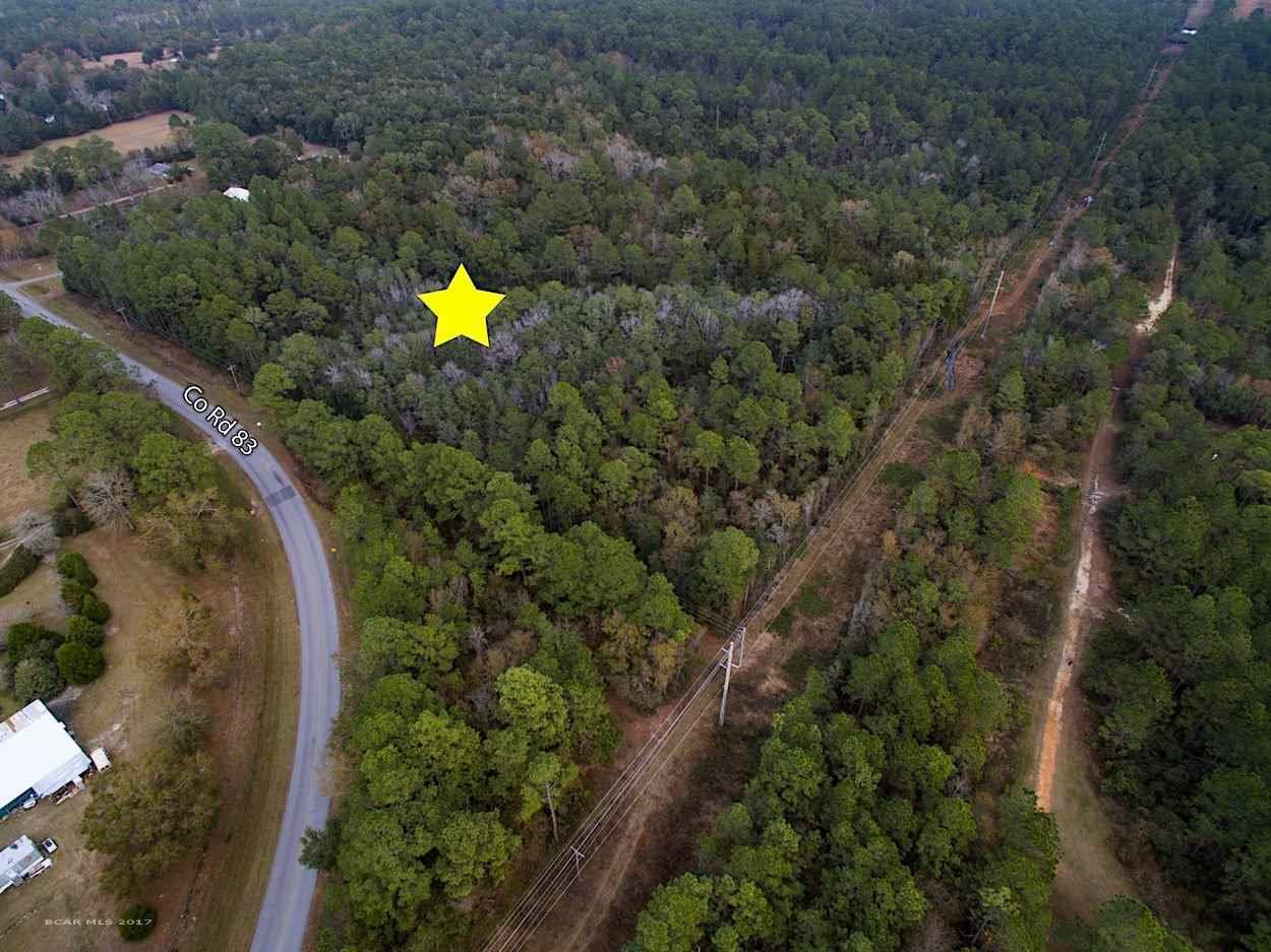 10090 County Road 83 - Photo 1