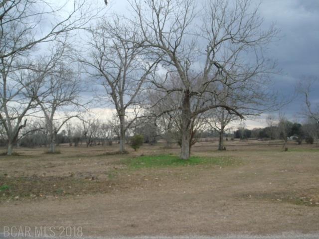 0 County Road 62 - Photo 1