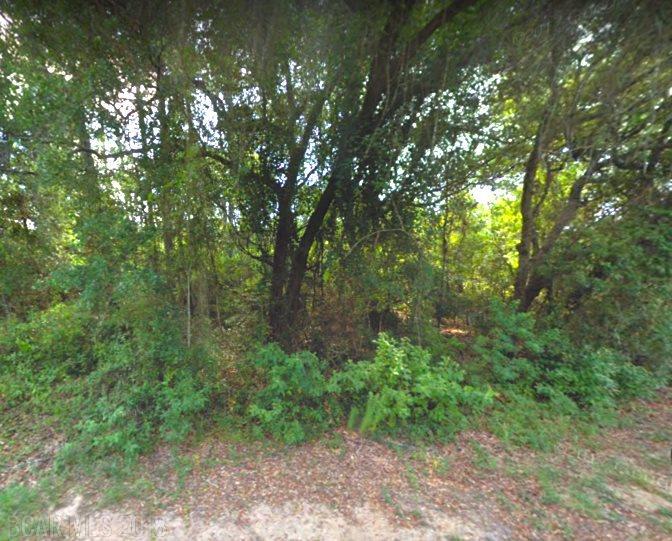 0 Soldier Creek Rd - Photo 1