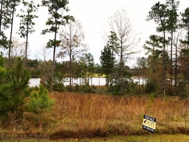 Lot #11 Lake Juniper Rd - Photo 1