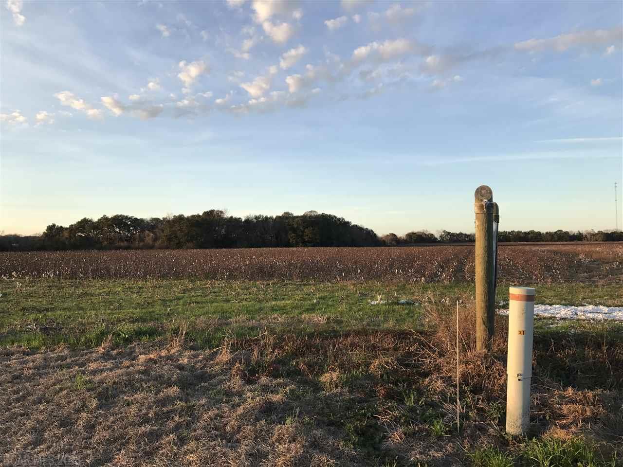 0000 Us Highway 98 - Photo 1