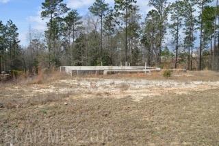 32177 Bunting Court - Photo 1