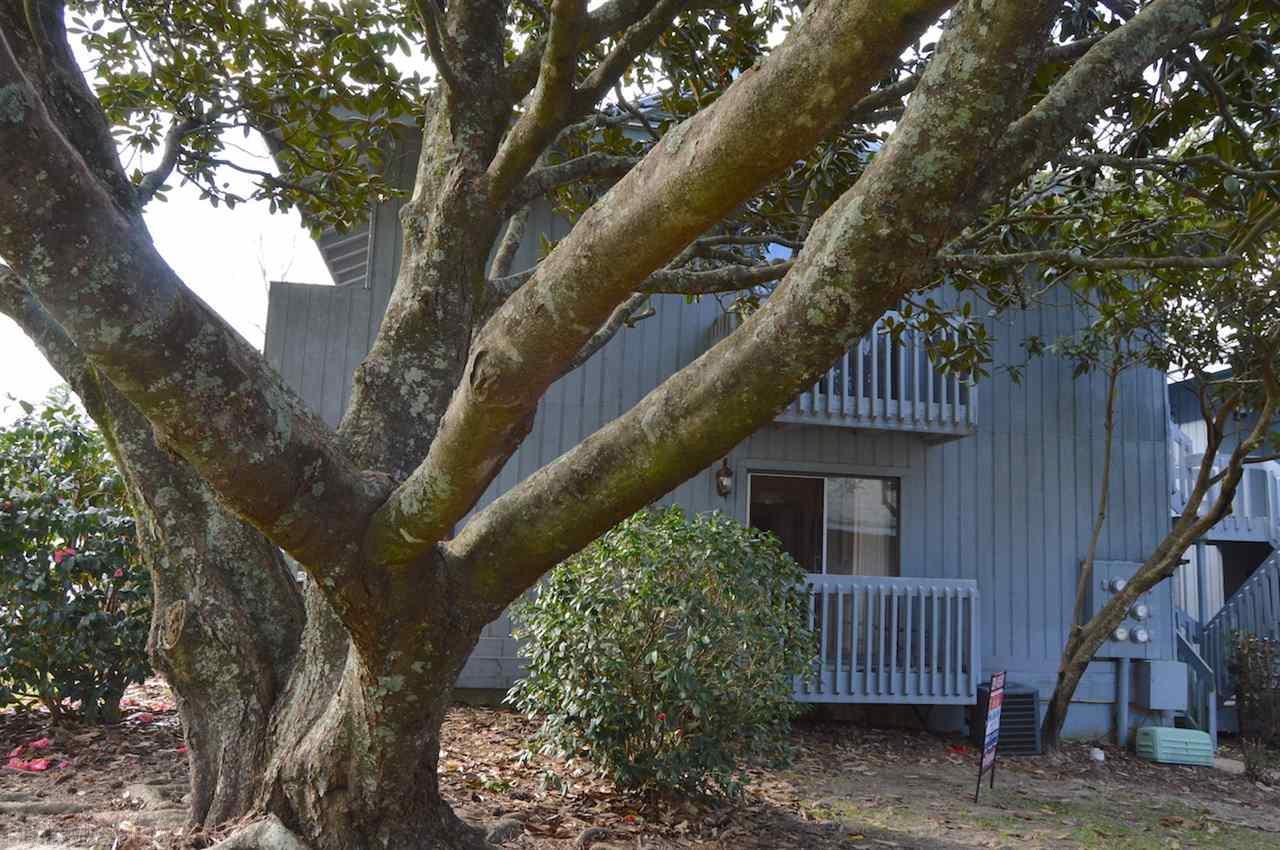 112 Golf Terrace - Photo 1