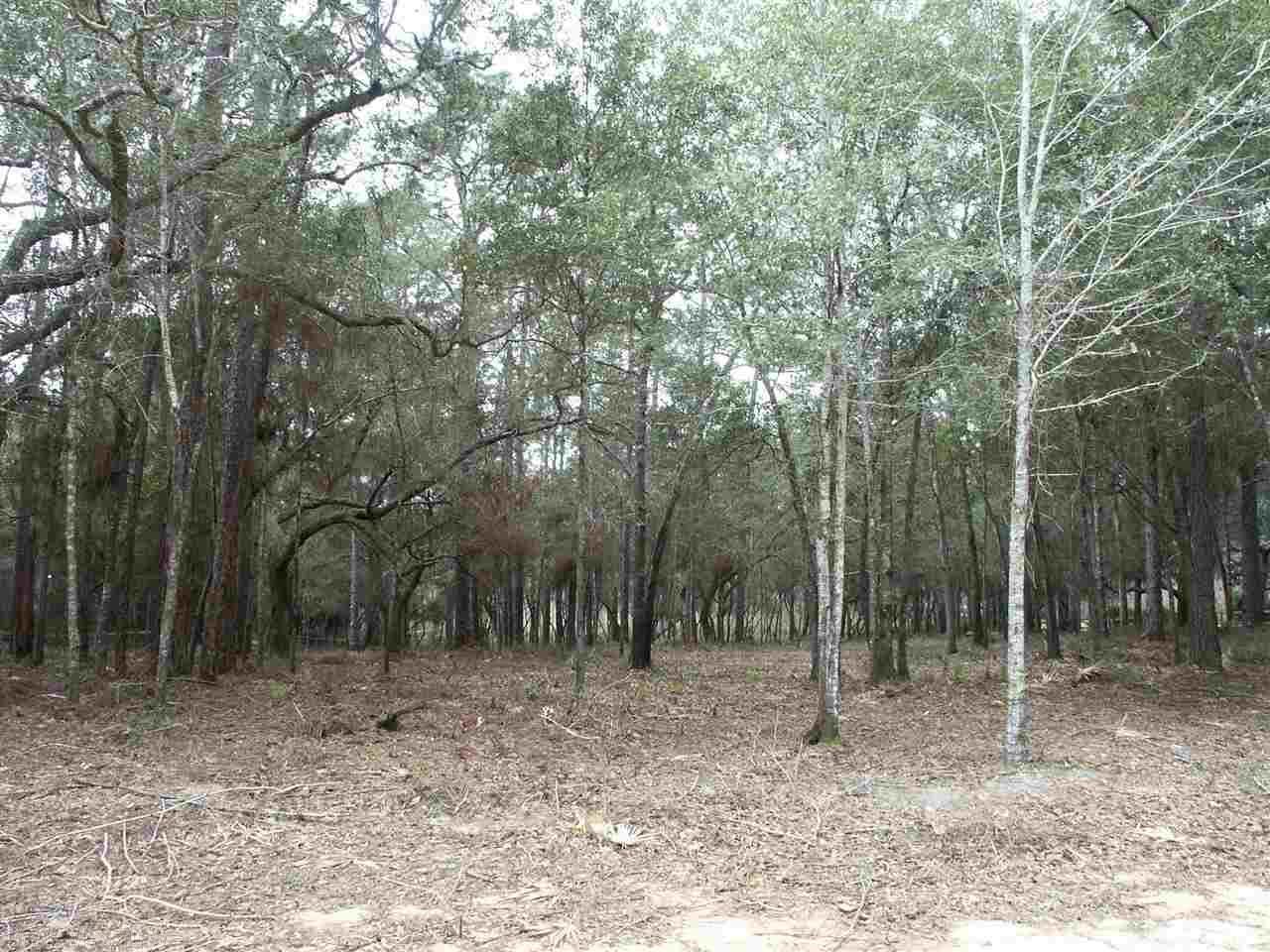 North Bayou Road - Photo 1
