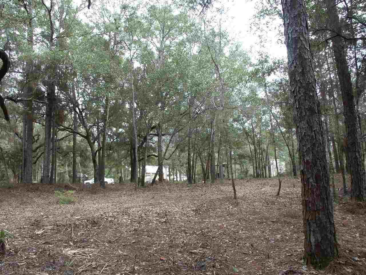 North Bayou Road - Photo 1