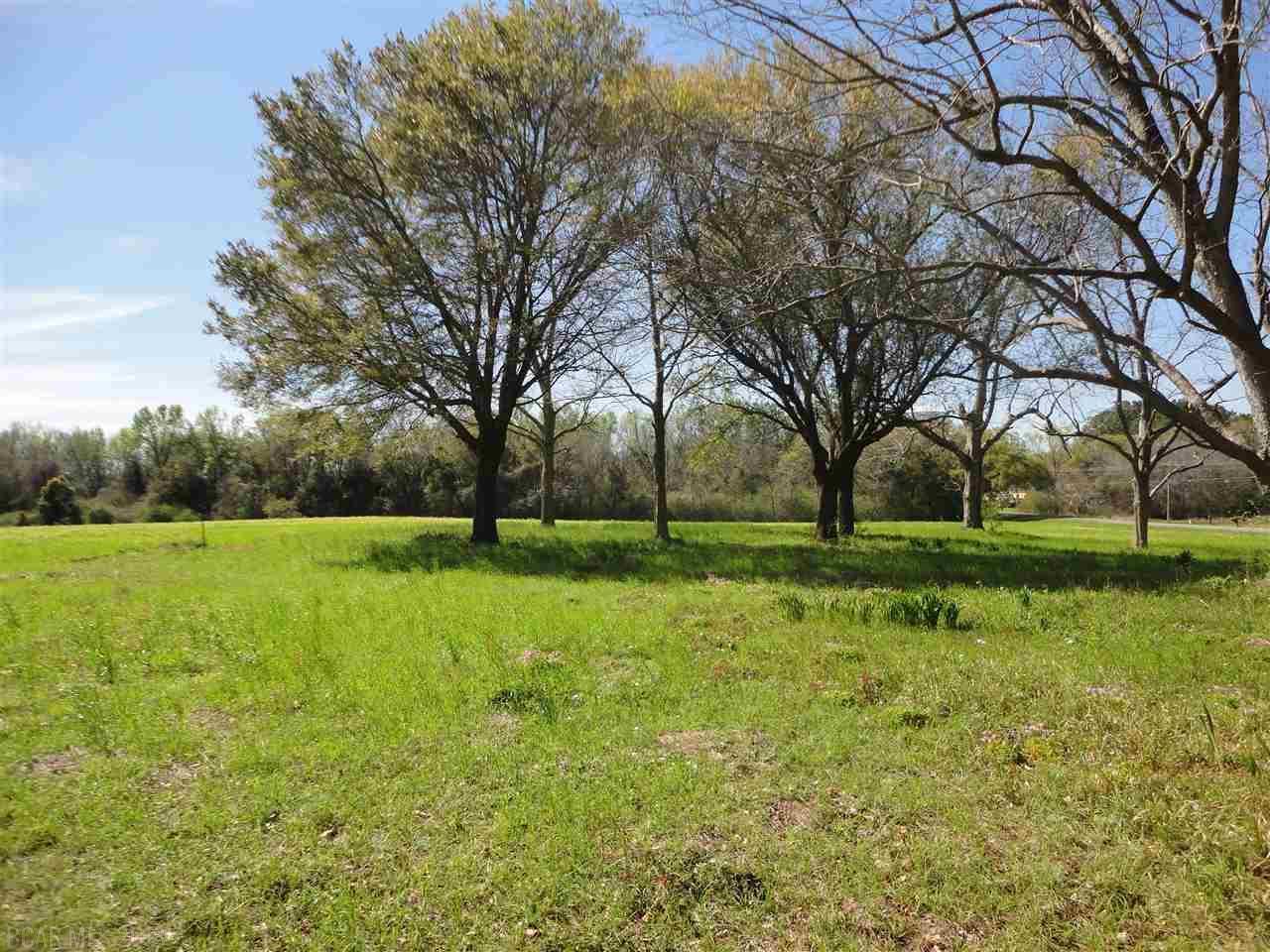 0 Fairhope Avenue - Photo 1