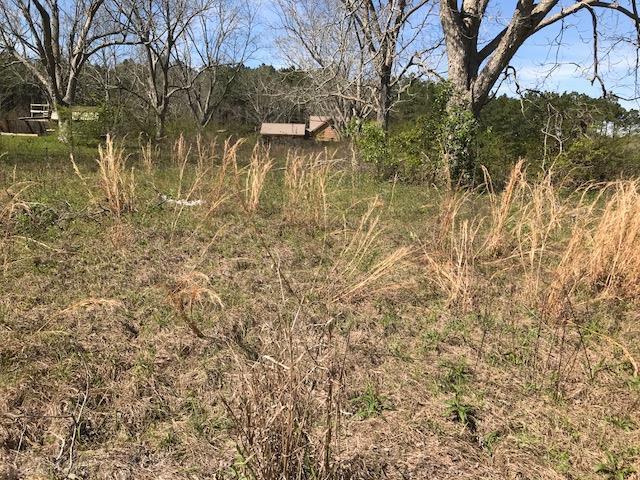 0 Southtown Dr - Photo 1