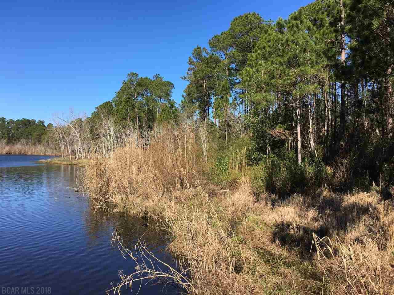 0 Steelwood Ridge Rd - Photo 1