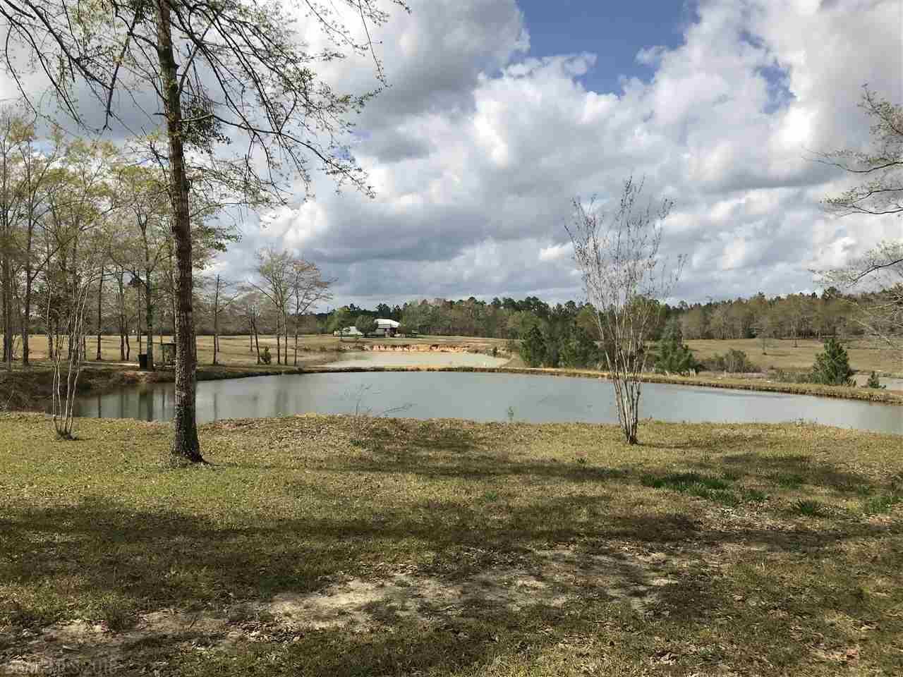 20850 River Road - Photo 1