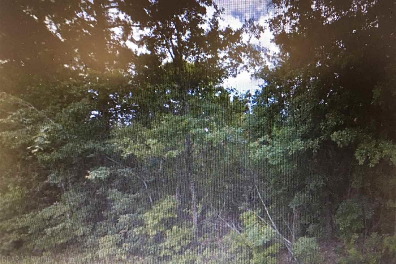 0 Beach Avenue - Photo 1