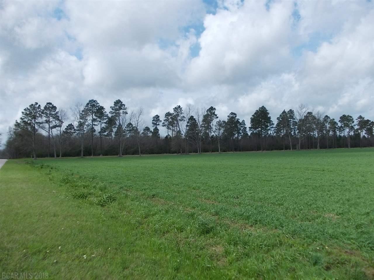 24740 Highway 90 - Photo 1