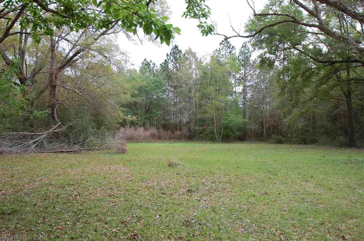 3001 Grand Bay-Wilmer Rd - Photo 1