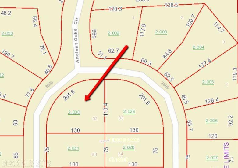 Lot 52 Ancient Oaks Circle - Photo 1