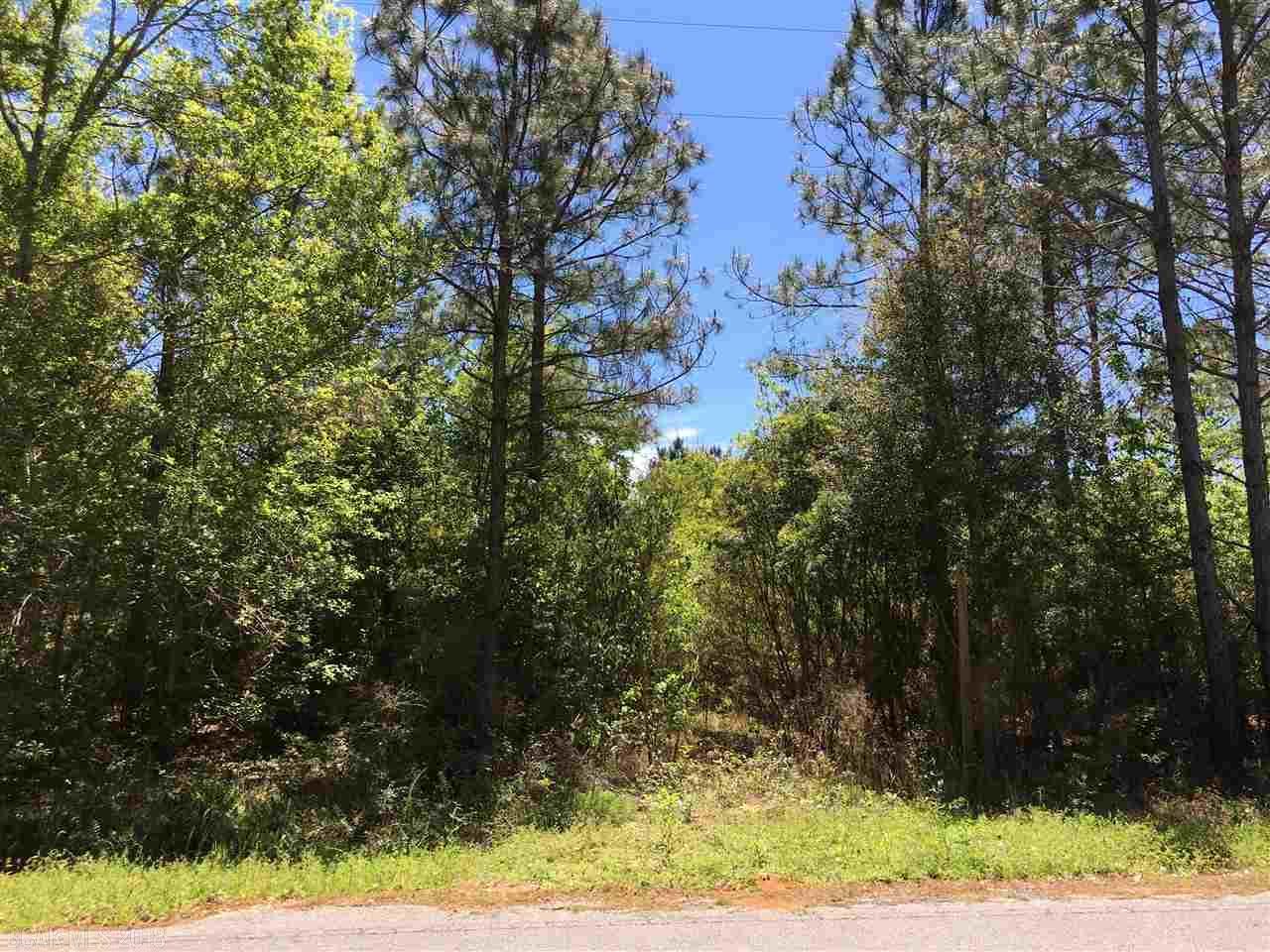 20414 Brinks Willis Road - Photo 1