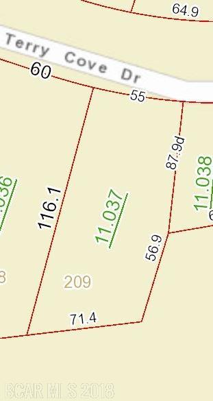 209 Terry Cove Drive - Photo 1