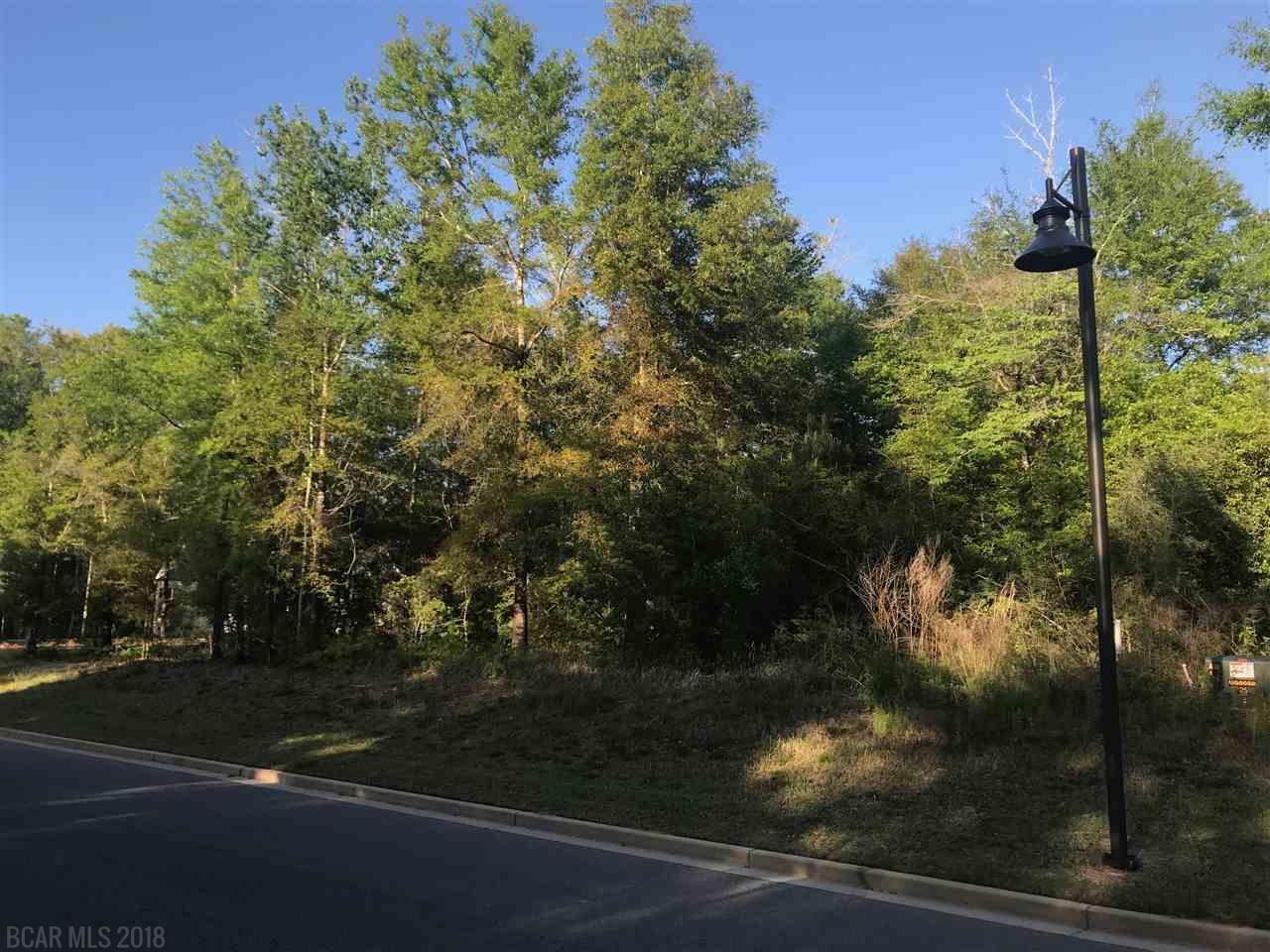 0 Flatwood Drive - Photo 1