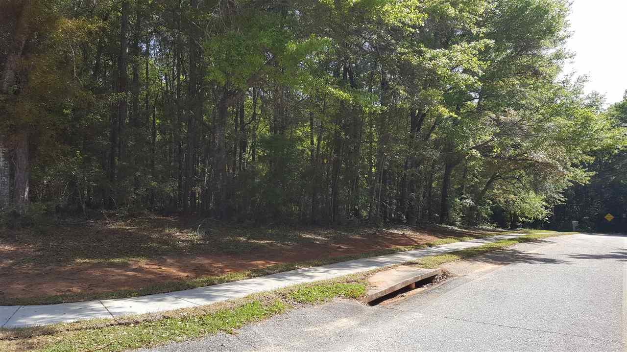 0 Pecan Drive - Photo 1