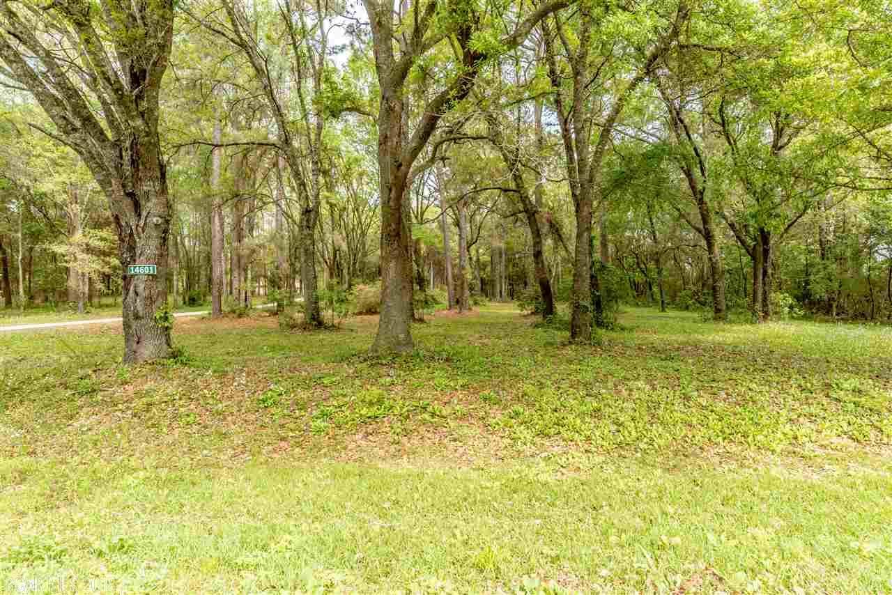 14601 County Road 28 - Photo 1