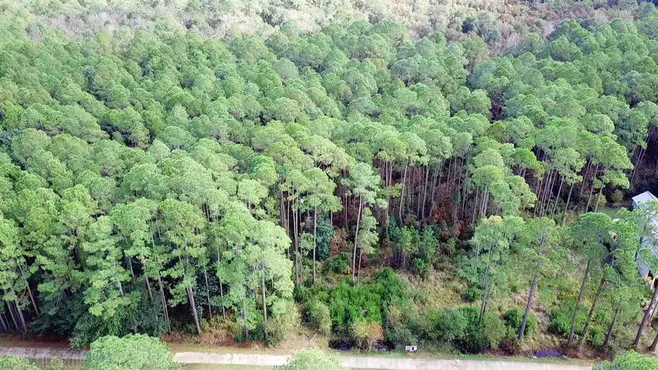 0 Scenic Highway 98 - Photo 1