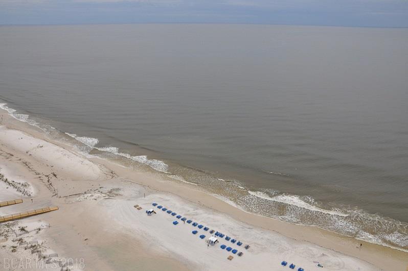 23450 Perdido Beach Blvd - Photo 1