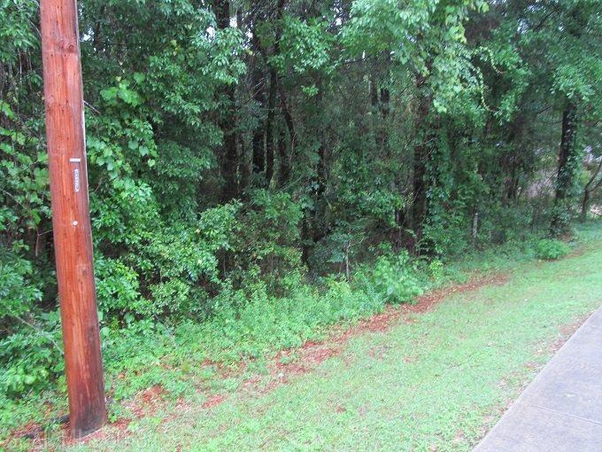 711 Daphmont Drive - Photo 1