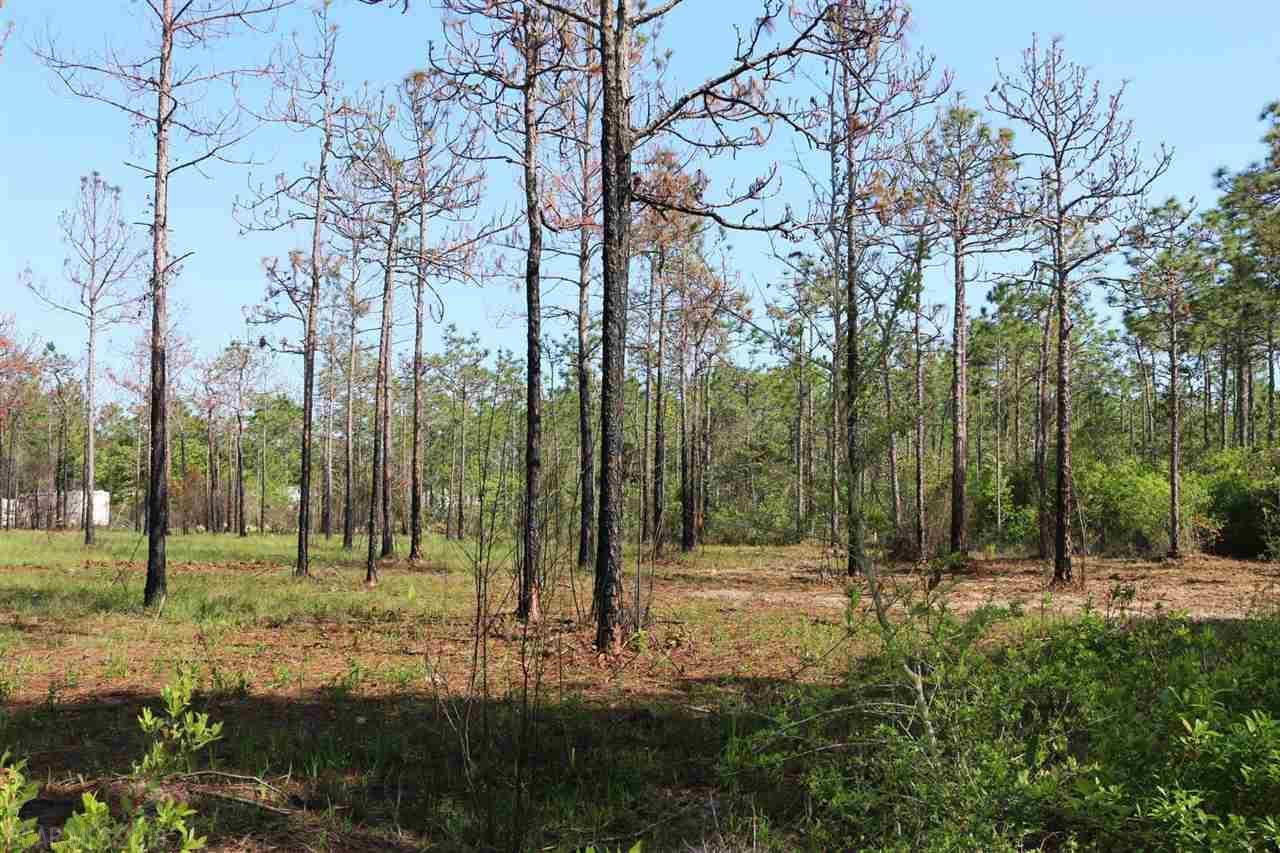 0 Cotton Creek Dr - Photo 1