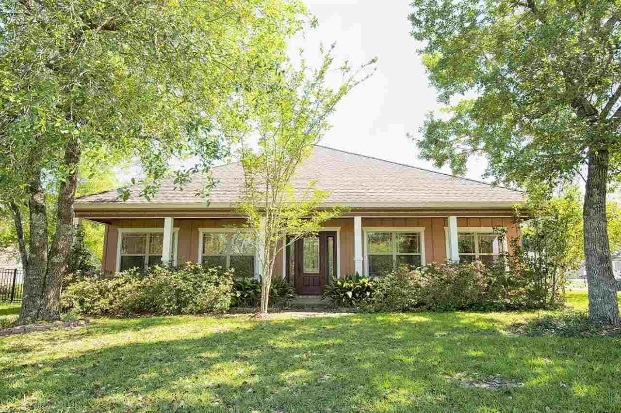 11283 Warrie Creek Alley - Photo 1