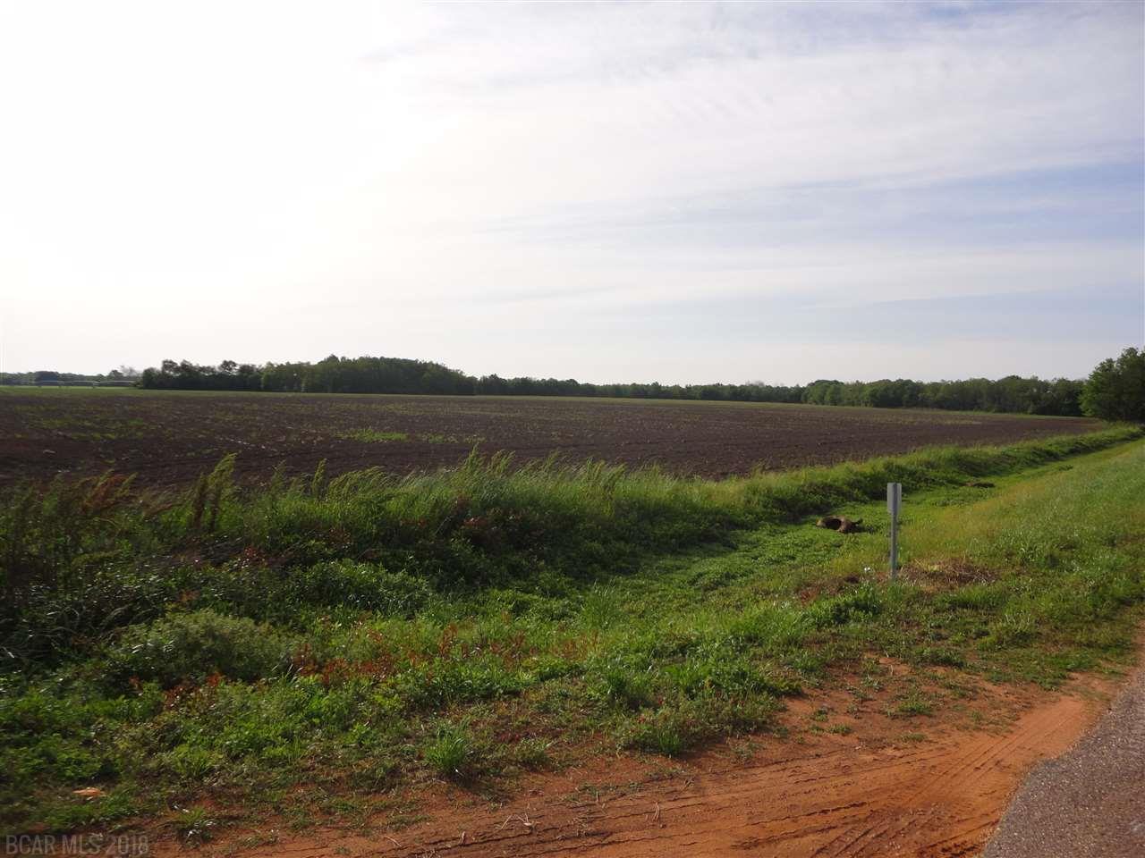 0 Davis Rd - Photo 1