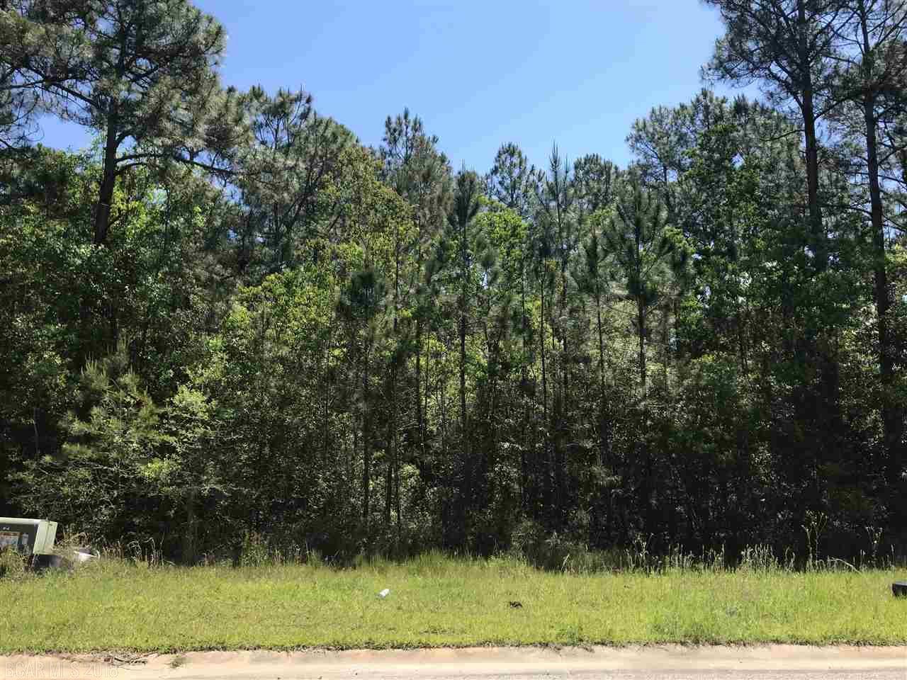 0 Trevino Dr - Photo 1