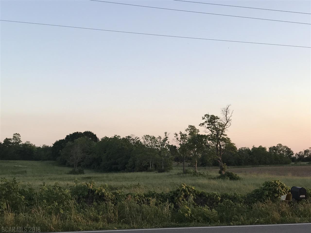 0 County Road 64 - Photo 1