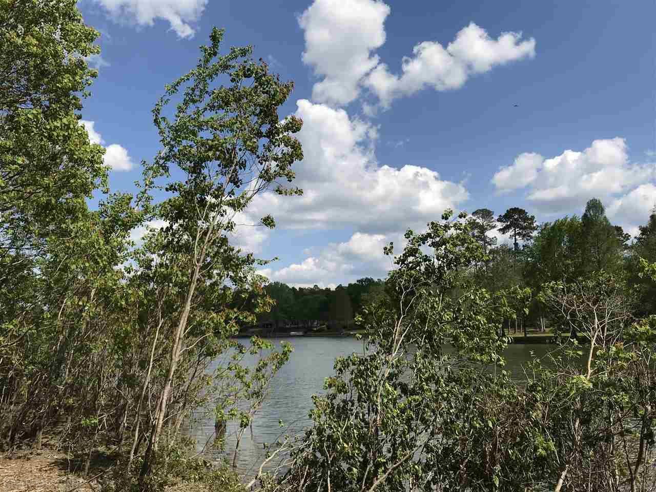 0 Dillon Ct - Photo 1