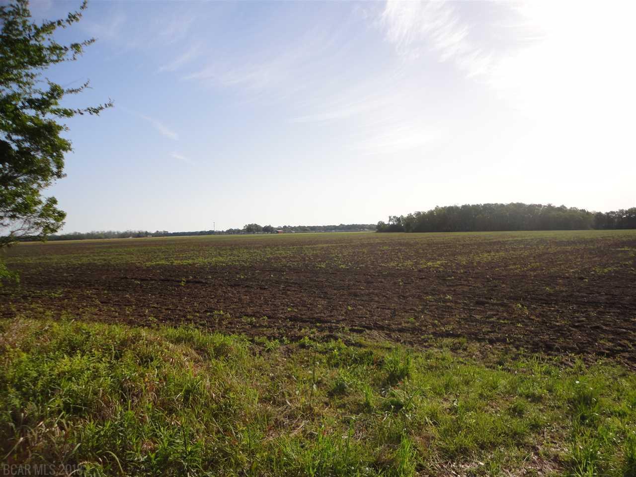 0 Davis Rd - Photo 1