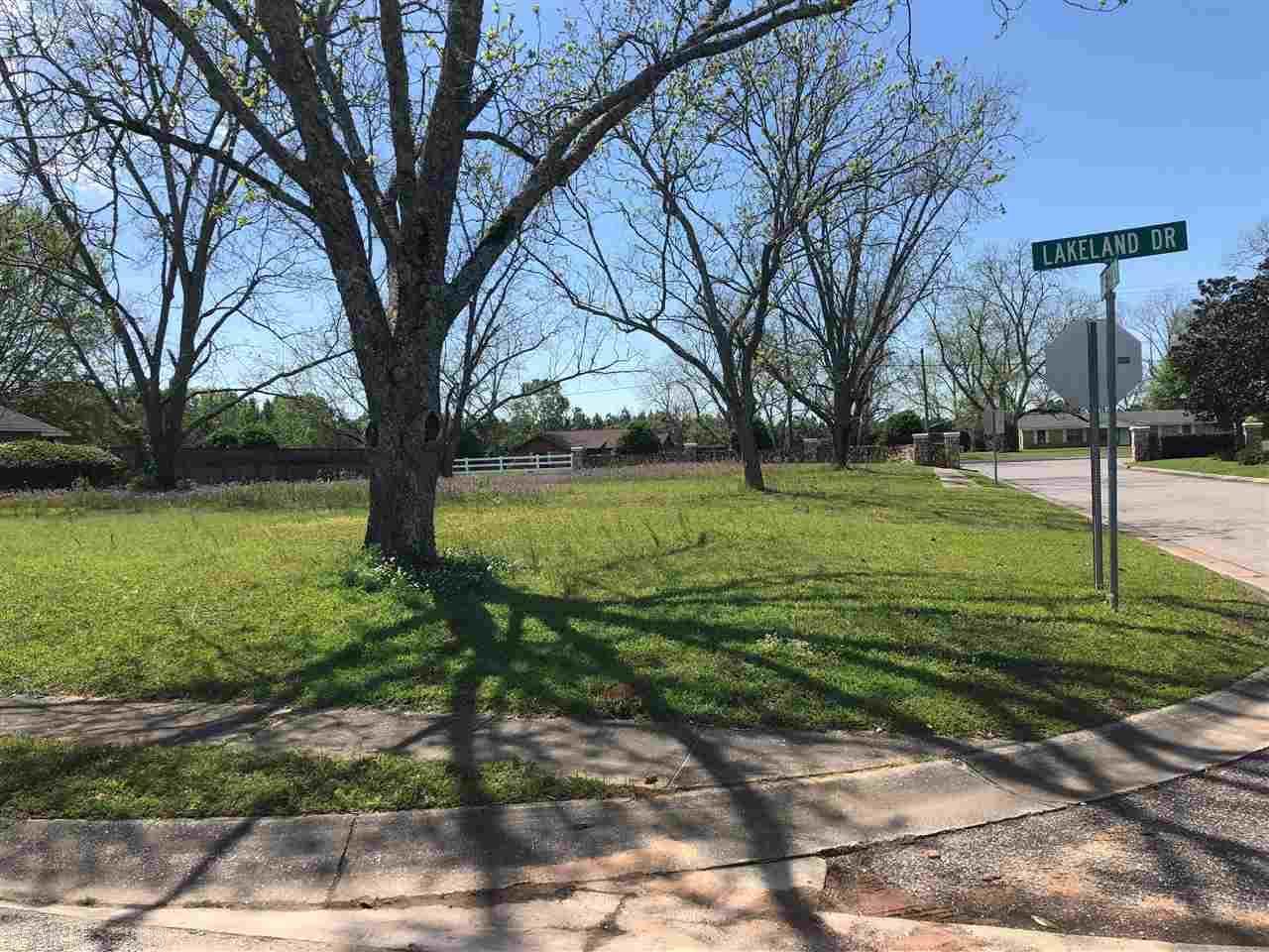 0 Lakeland Drive - Photo 1