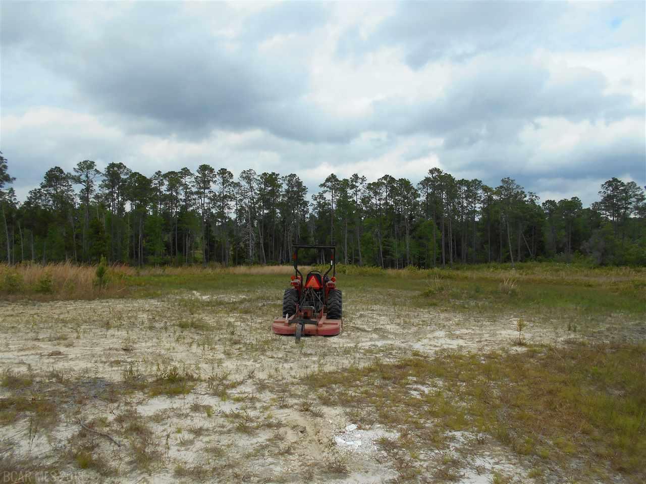 0 Fell Rd - Photo 1