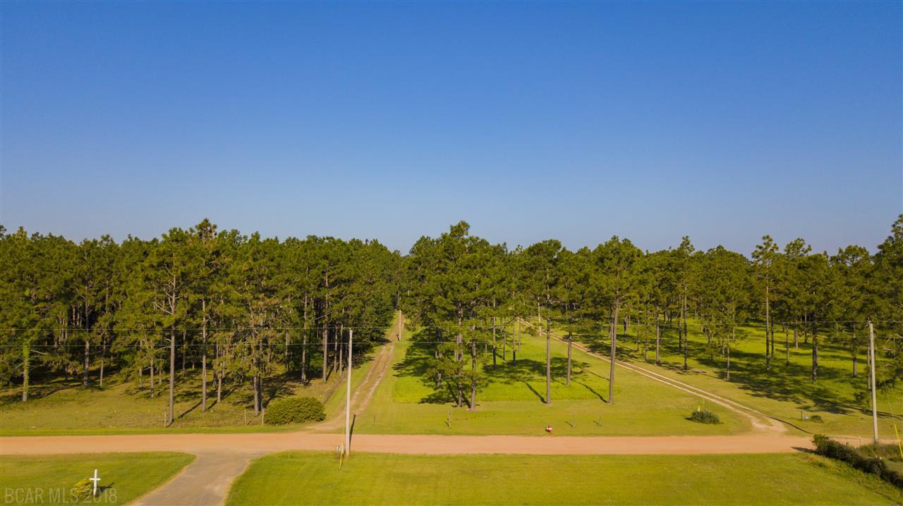 28645 Rose Run Rd - Photo 1