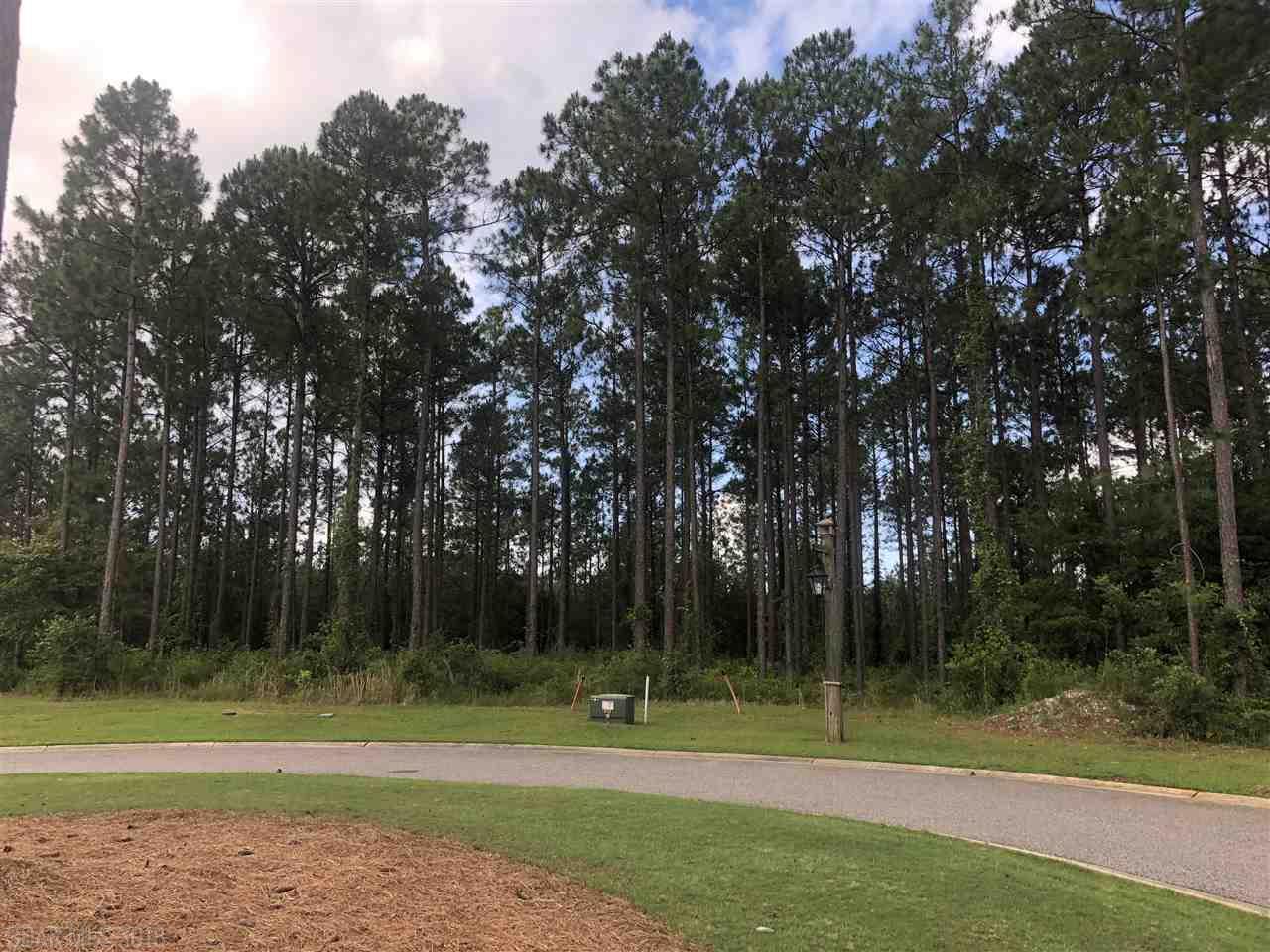 407 Sanctuary Cove - Photo 1