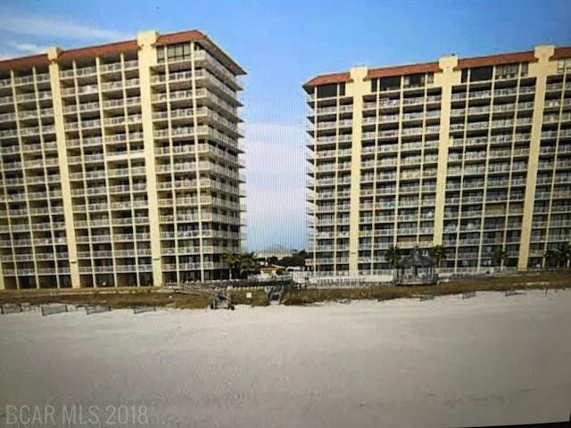 25020 Perdido Beach Blvd - Photo 1