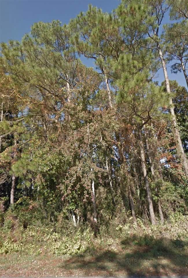 0 16th Avenue - Photo 1