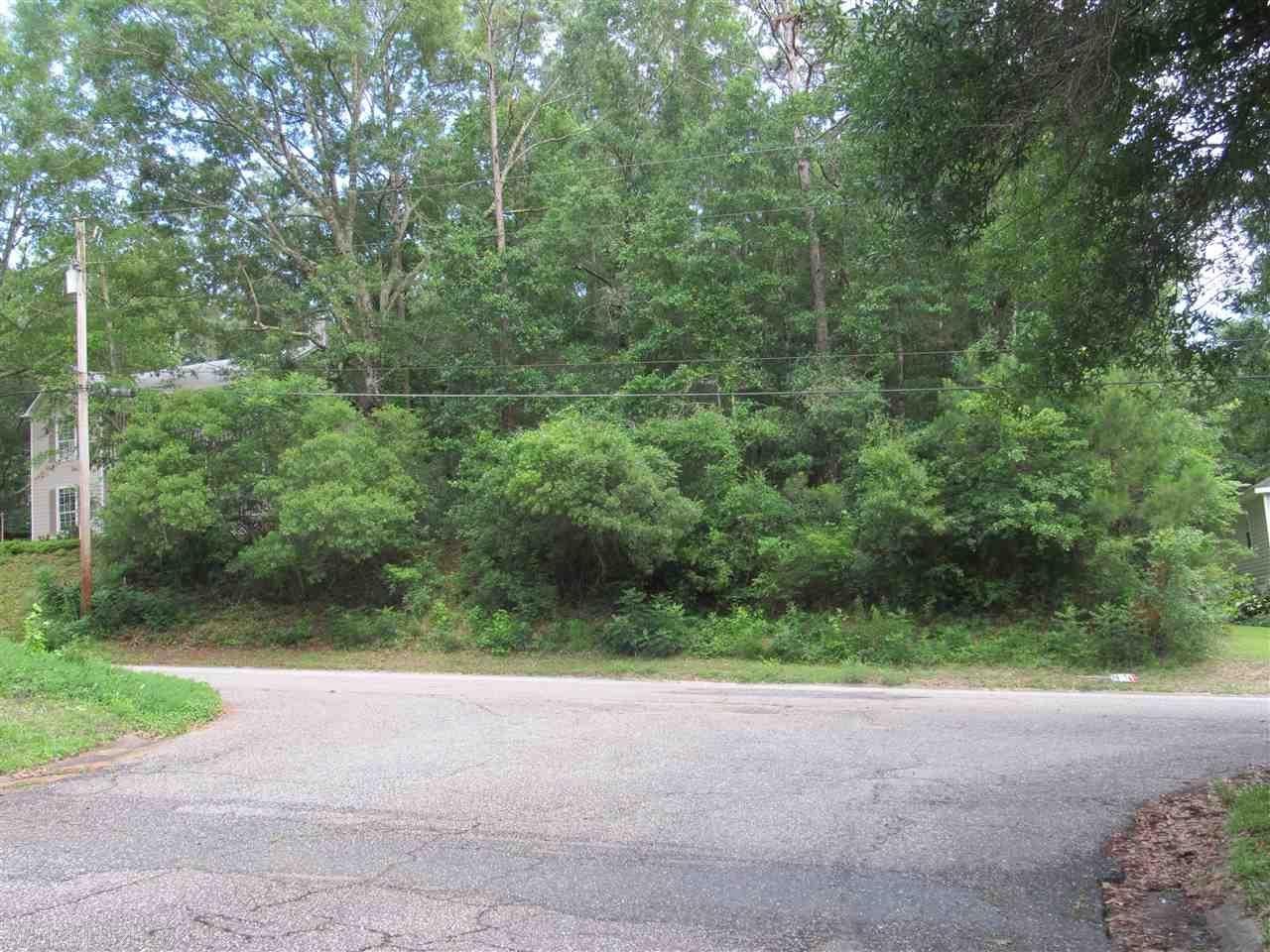 116 Donna Circle - Photo 1