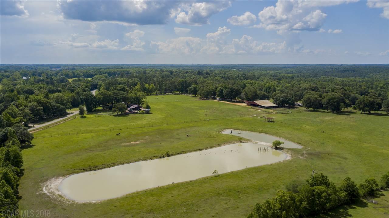 17188 Bee Gum Rd - Photo 1