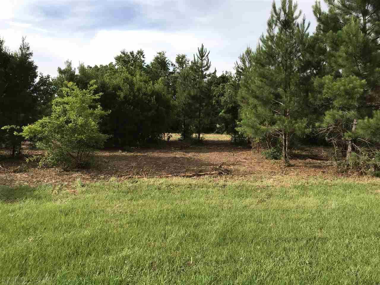 34185 B Ward Rd - Photo 1