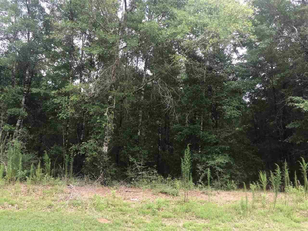 0 Flatwood Drive - Photo 1