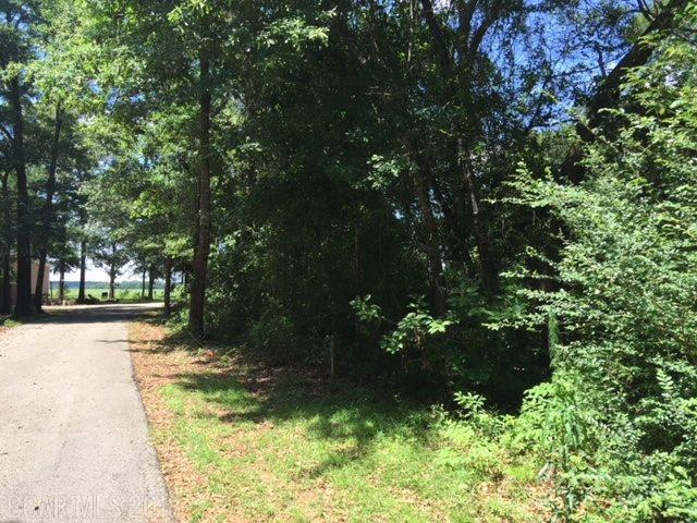 0 Woodhaven Dairy Road - Photo 1
