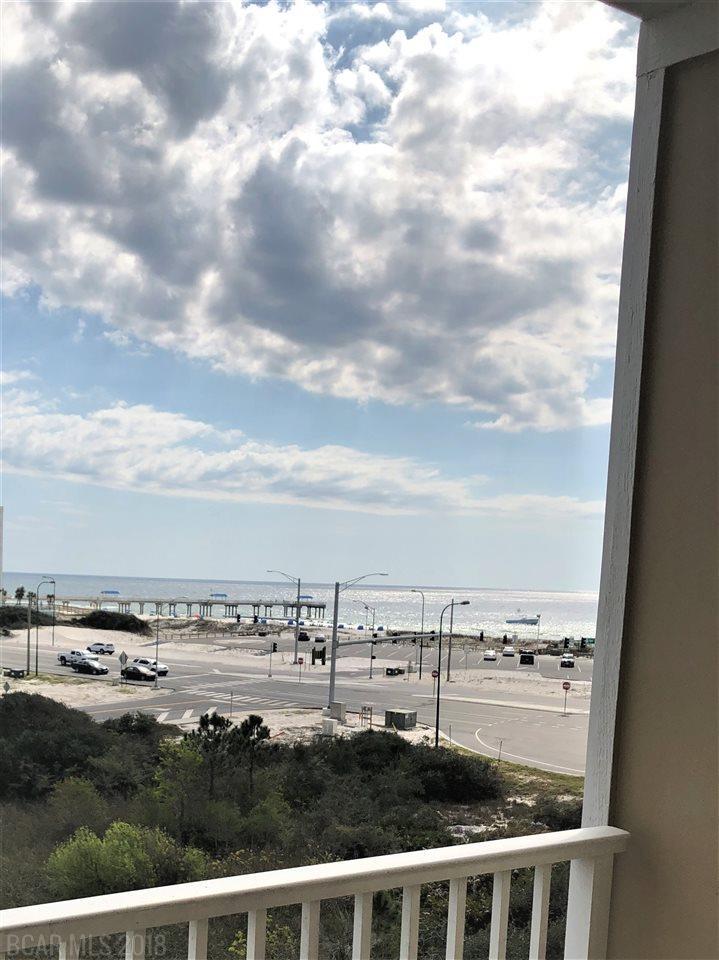 25805 Perdido Beach Blvd - Photo 1