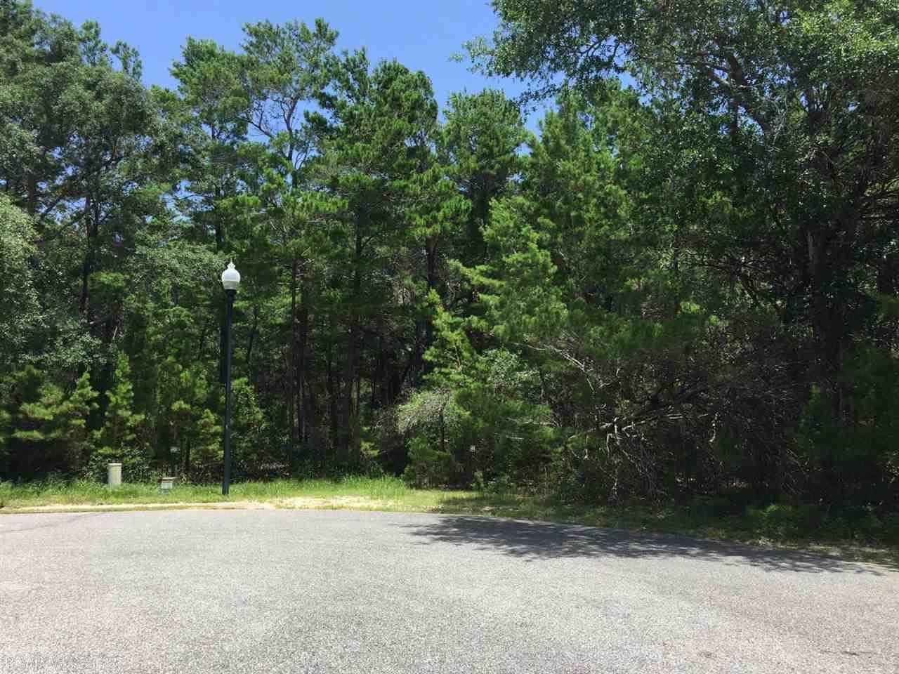 19 Wildlife Ct - Photo 1