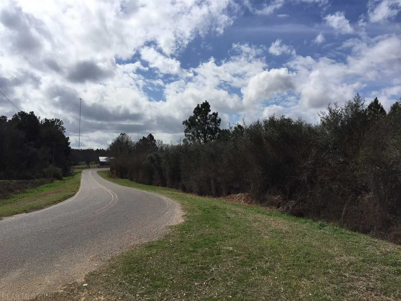 0 County Road 68 - Photo 1