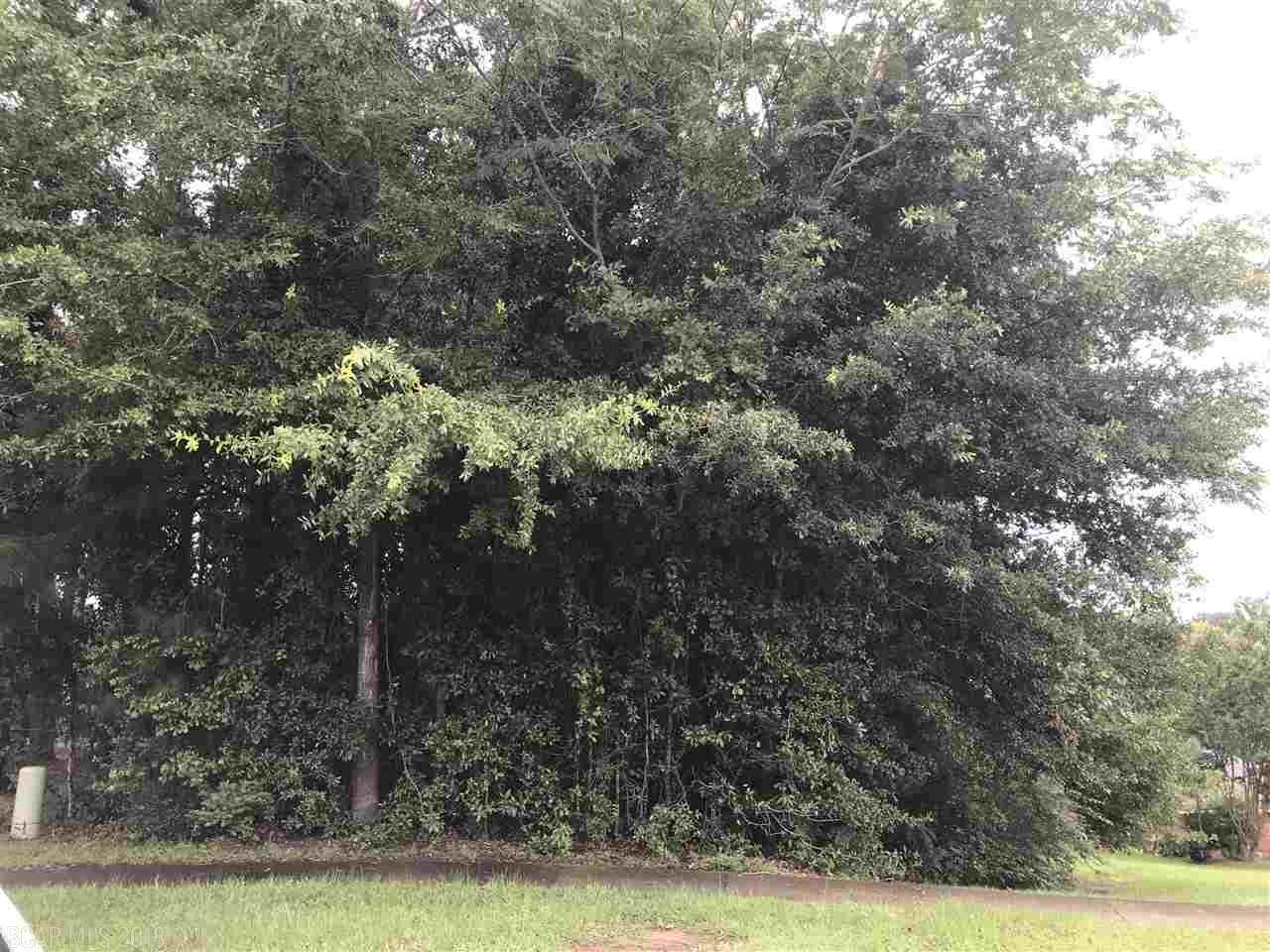 0 Nancy Ln - Photo 1