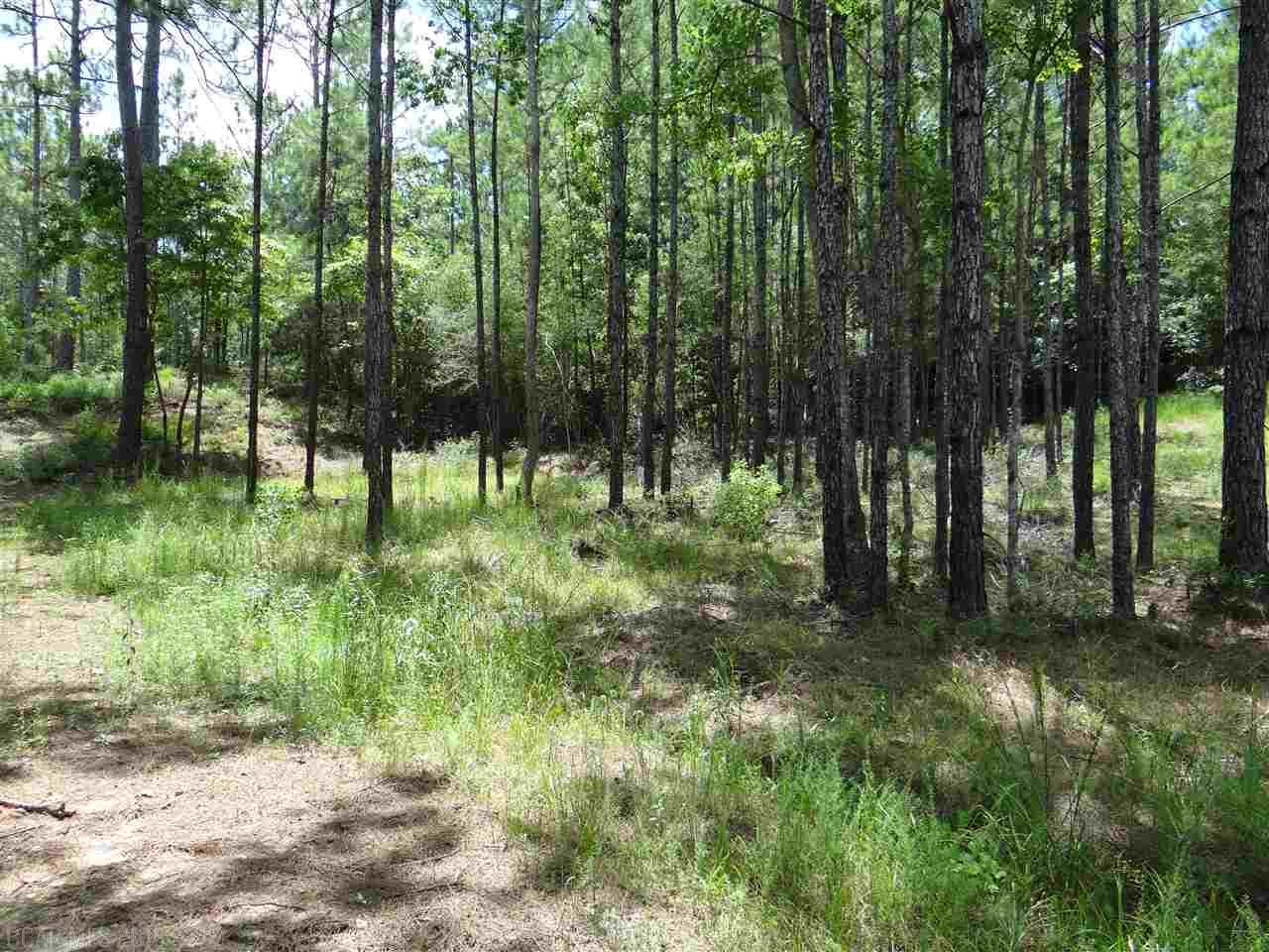 0 Blakeley Oaks Drive - Photo 1