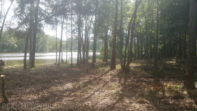 0 Wilson Rd - Photo 1