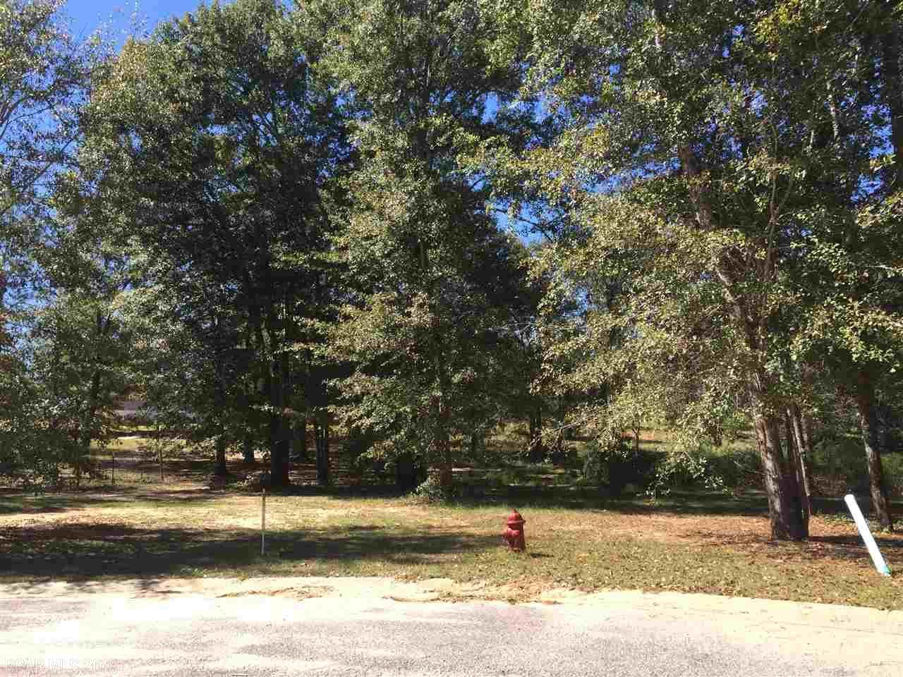 0 Turning Leaf Drive - Photo 1